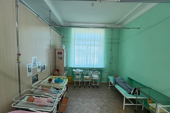 Директор Красноярского филиала «СОГАЗ-Мед» приняла участие в выездном заседании секции по охране здоровья и социальной политике, новости, пресс-релизы, статьи, «СОГАЗ-Мед», омс