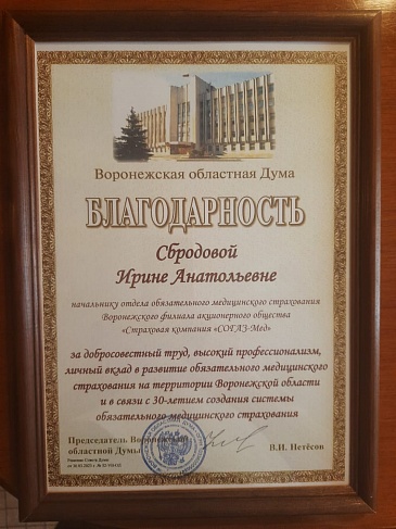 Воронежский филиал «СОГАЗ-Мед» принял участие в праздновании 30-летнего юбилея системы ОМС Воронежской области , новости, пресс-релизы, статьи, «СОГАЗ-Мед», омс